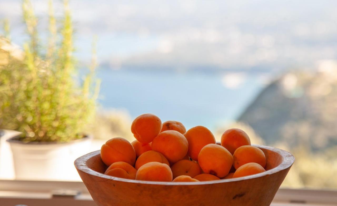 Lorantina Sea View Holiday House In Corfu - Near Barbati Beach Country house